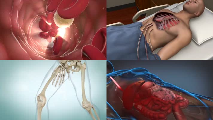 人体肌理医疗医学3d动画素材包