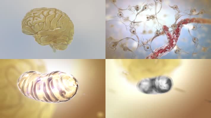 大脑神经元病变植物药物治疗医疗三维机理动