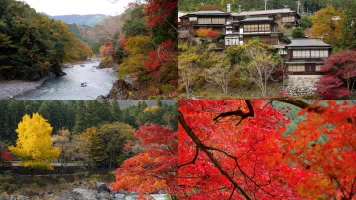 日本东京御岳渓谷赏红叶