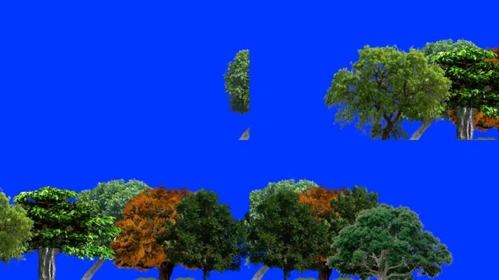 蓝屏树木抠图素材