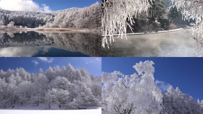 【4K】冬日雪景