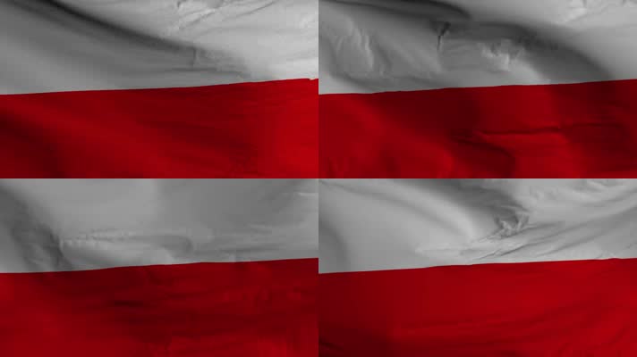 【4K】波兰国旗