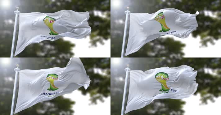 【4K】2014年巴西世界杯旗帜