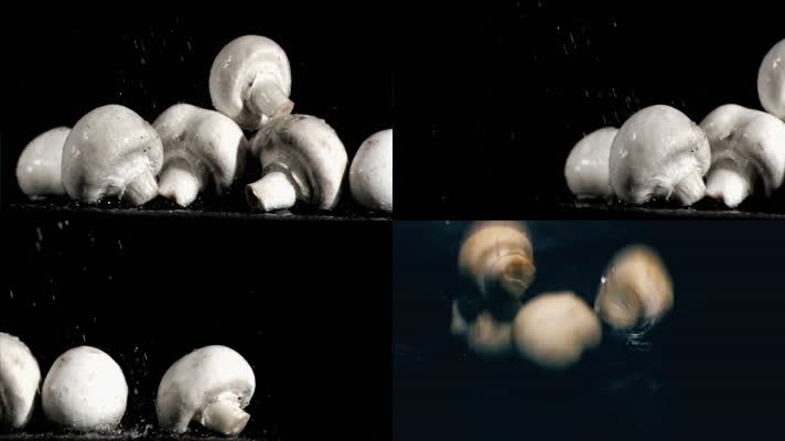 有机新鲜白蘑菇特写镜头