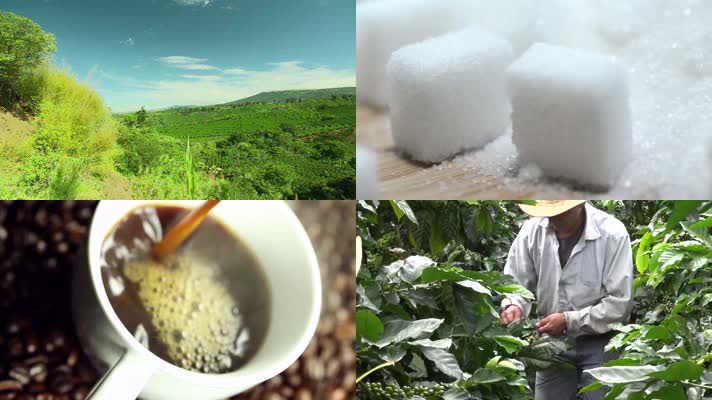 咖啡生产原材料