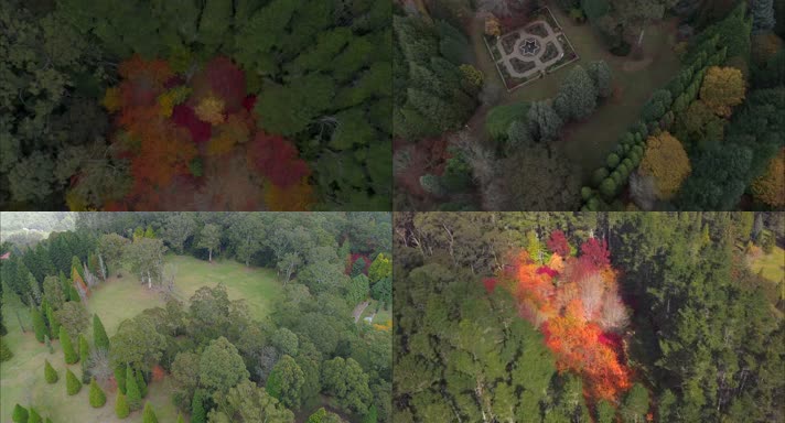 4K航拍威尔逊山秋天自然风景旅游宣传片素材