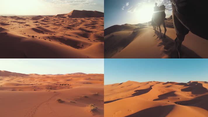 沙漠之旅4K实拍
