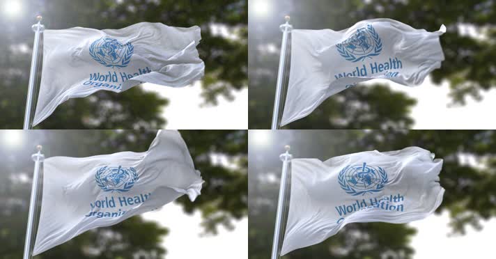 【4K】世界卫生组织旗帜D