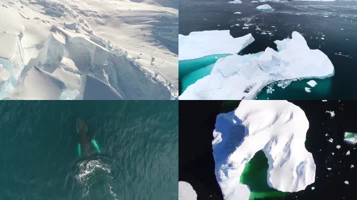 唯美极地冰川鲸鱼北极