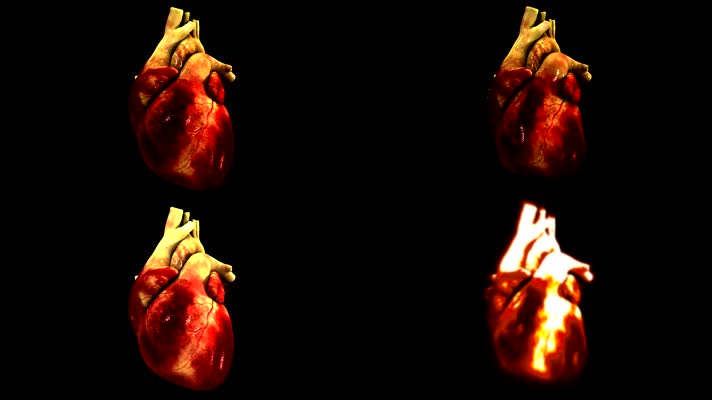 心脏跳动3D动画