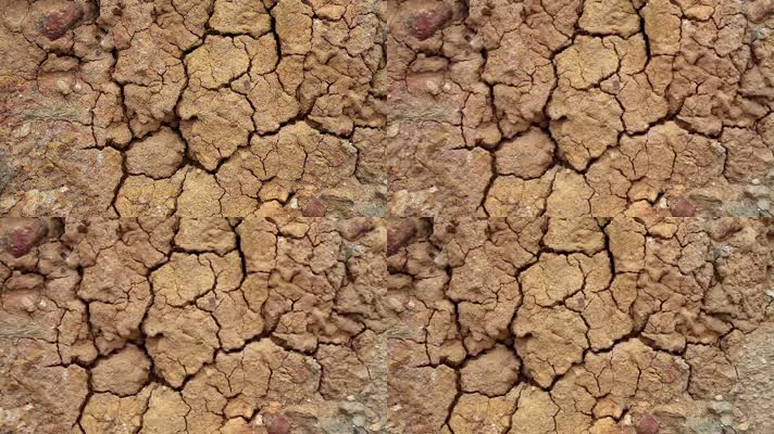 干涸 旱季 地球生态环境  