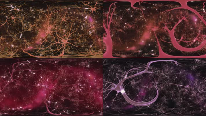 大脑神经元信号传导医疗VR视频360°