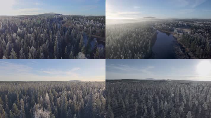 4K芬兰拉普兰德原始森林冬季雪景