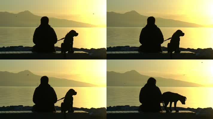 孤独 男人和狗 悲伤 流泪  