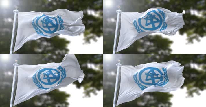 【4K】联合国人居署旗帜