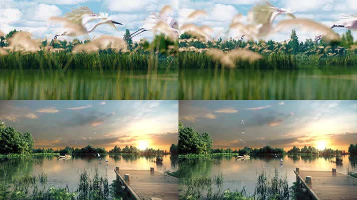 三维湿地公园湖4k视频