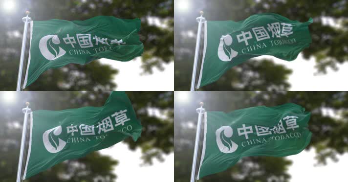 【4K】中国烟草总公司旗帜B