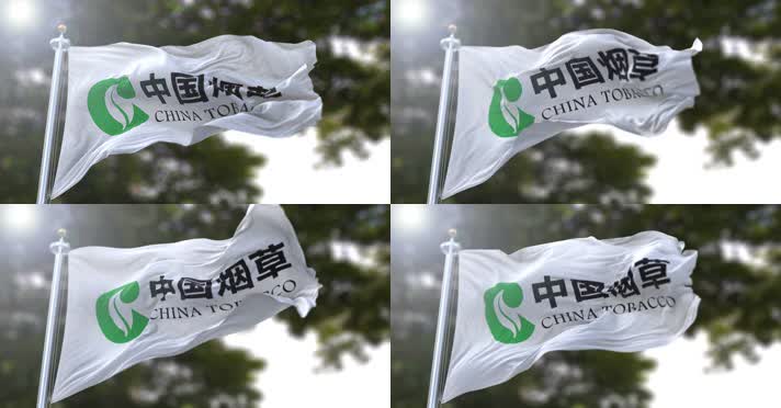 【4K】中国烟草总公司旗帜C
