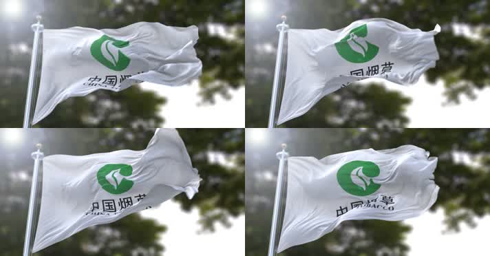 【4K】中国烟草总公司旗帜A