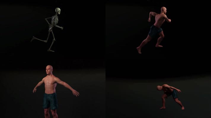人体运动三维动画医学3D动画