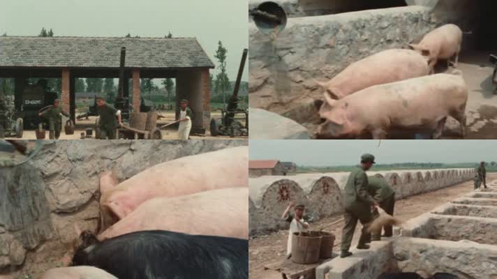 70年代部队营房猪圈菜地