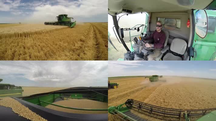 小麦丰收农机收割粮食丰收农业科技 