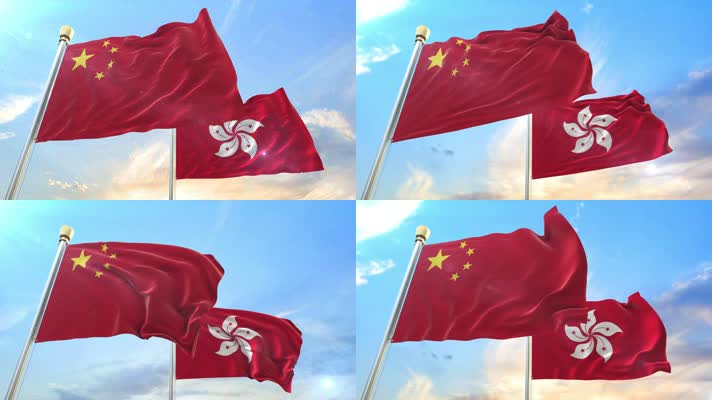 【4K】国旗和香港区旗紫金花旗