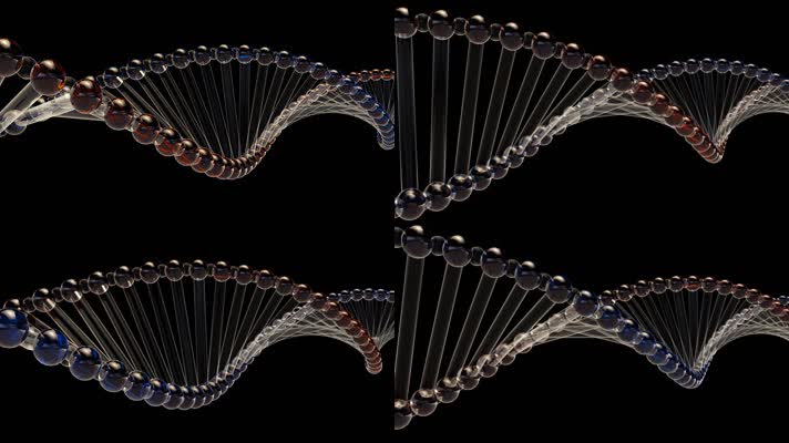 DNA双螺旋alpha通道