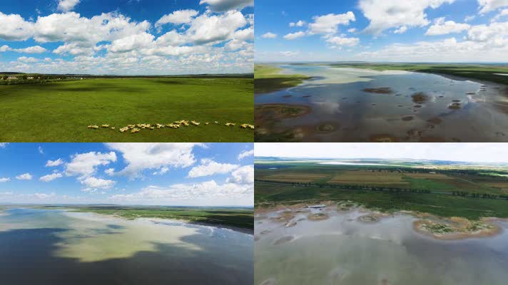 航拍内蒙古草原上的羊群和河流湖泊4k