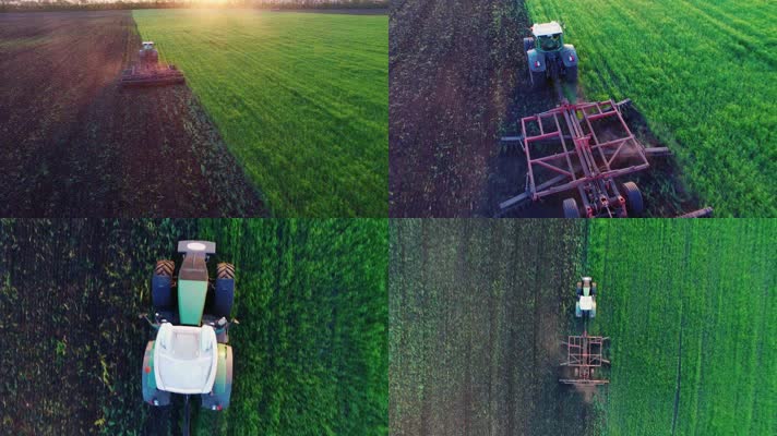 小麦丰收 大豆丰收 机械化收割 4K视频