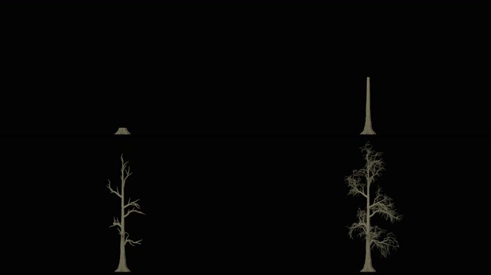 树木生长动画视频 