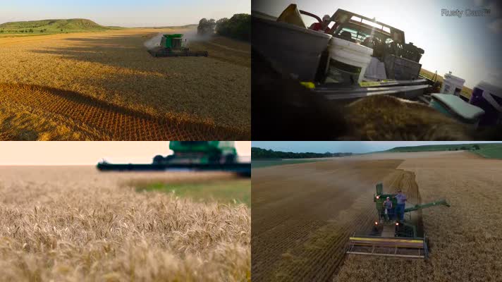 小麦收割粮食丰收农业素材