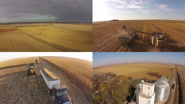 小麦收割粮食丰收农业素材航拍