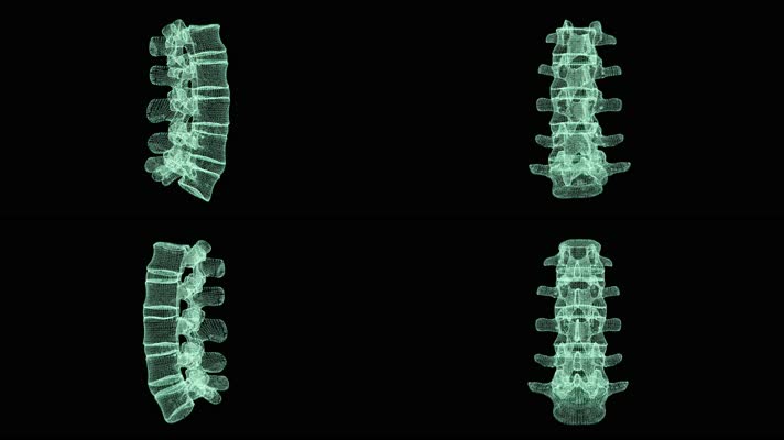 人体脊椎扫描全息动画