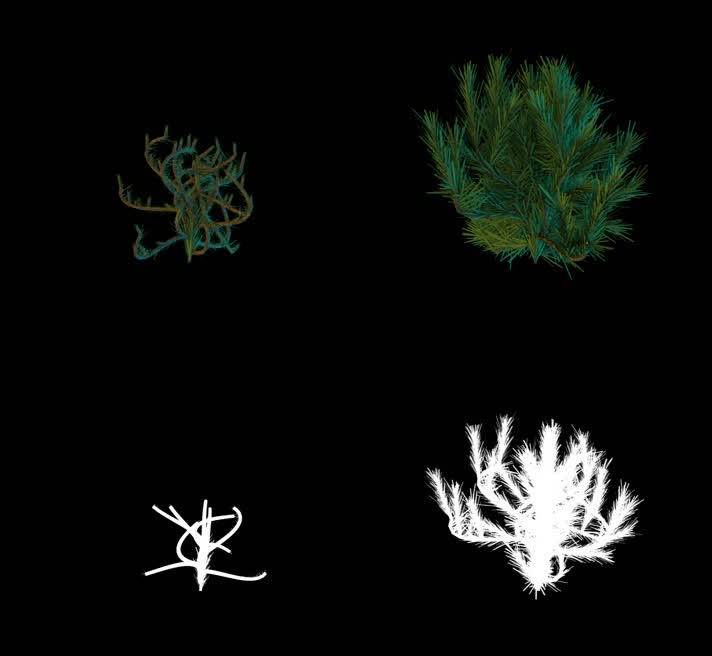 3D 树枝 生长 抠像 植物  