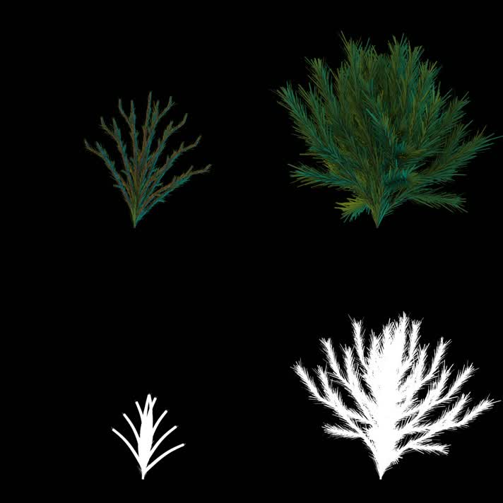 3D 树枝 生长 抠像 植物 