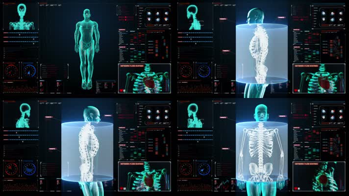 科技医疗人体模型透视