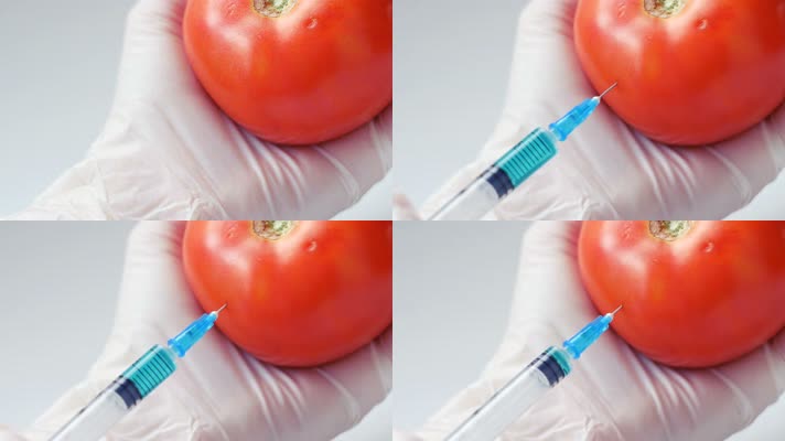 西红柿 基因工程 打针 