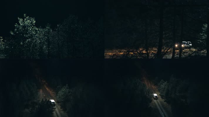 【4K】森林小路夜间开车