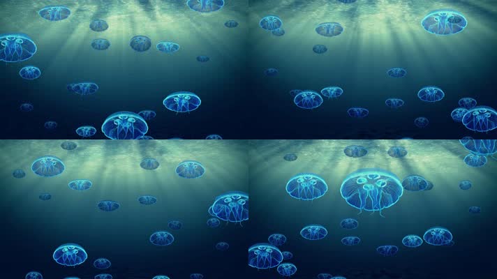 海底水母动画背景
