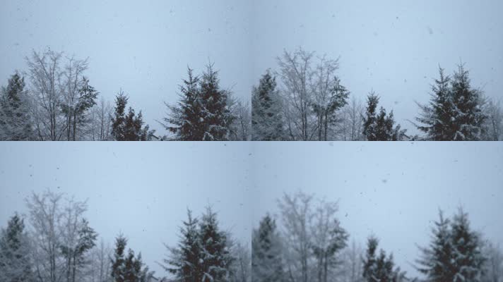 雪天 雪花飘落 雪景 4K升格视频