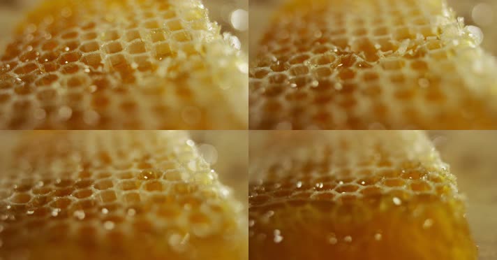 蜂蜜 蜂巢蜜特写镜头 升格视频
