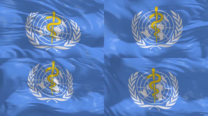 国际卫生组织 联合国 健康  