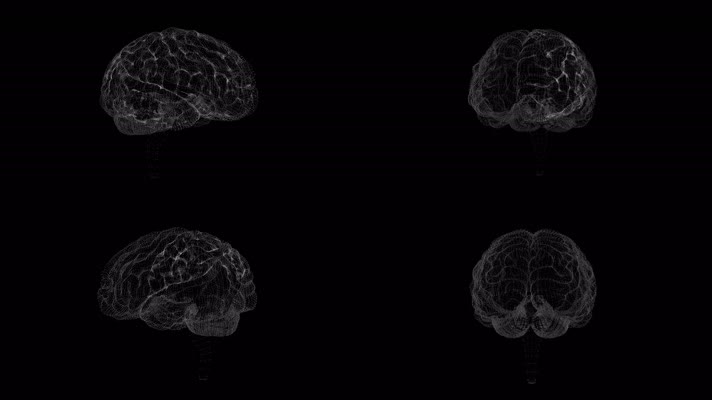 大脑 AI 人工智能 智慧  大脑结构 脑回路 
