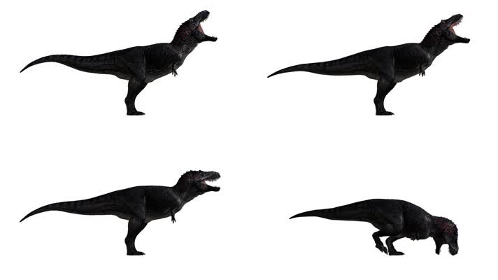 恐龙行走 恐龙 动画 3D 