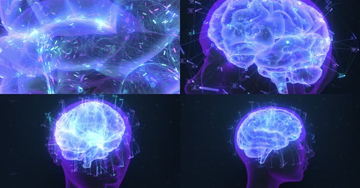蓝色科技3d全息大脑