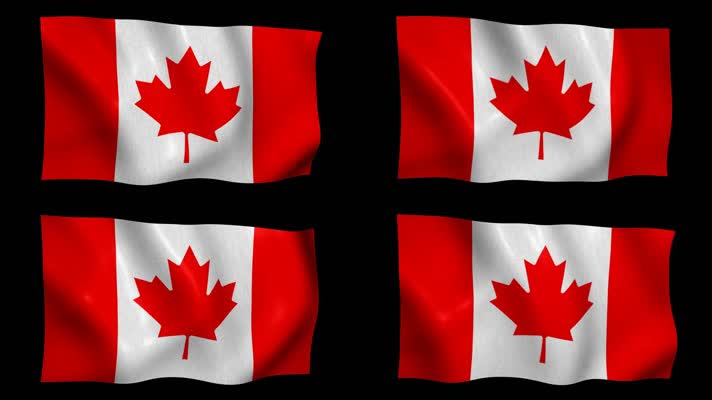 加拿大国旗飘扬 国旗 