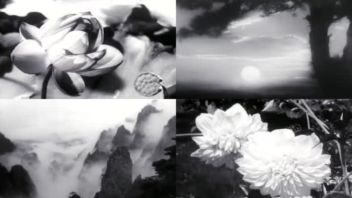 50年代拍摄的黑白自然风光