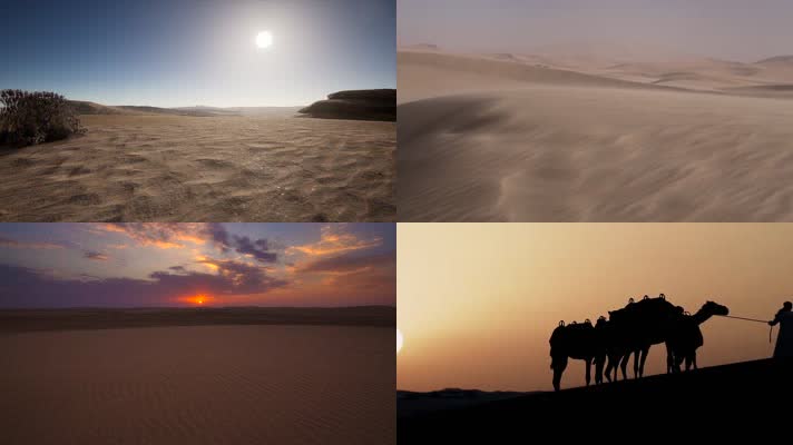 沙漠骆驼无声