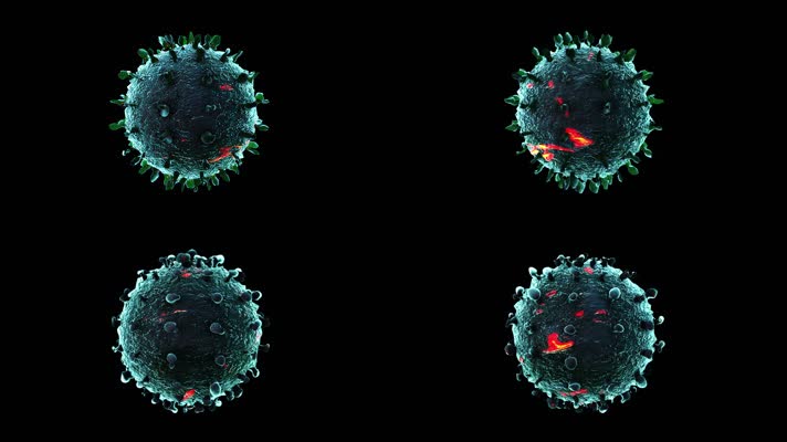 新型冠状病毒透明通道素材